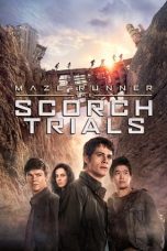 Watch Hindi Movie Maze Runner: The Scorch Trials