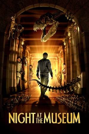 Watch Hindi Movie Night at the Museum