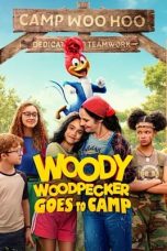 Watch Hindi Movie Woody Woodpecker Goes to Camp 2024