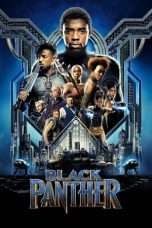 Watch Hindi Movie Black Panther 2024