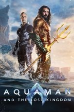 Watch Hindi Movie Aquaman and the Lost Kingdom 2023