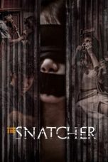 Watch Hindi Movie The Snatcher 2024