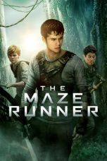 Watch Hindi Movie The Maze Runner