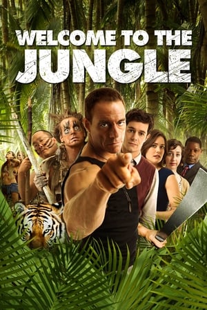 Watch Hindi Movie  Welcome to the Jungle